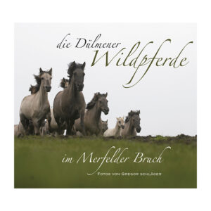 Die Dülmener Wildpferde im Merfelder Bruch